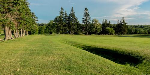 Forest Hills Golf Course