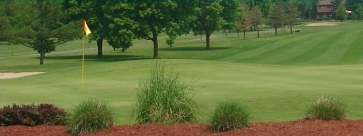 Foxfire at Village Green